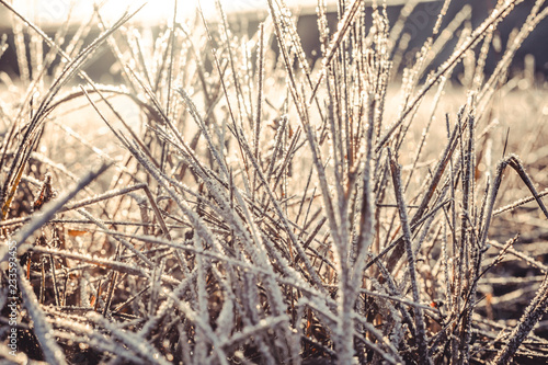 ice crystals on a blade of grass