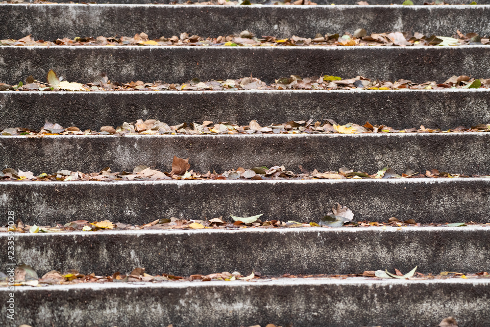 Herbstliches Laub auf Treppenstufen