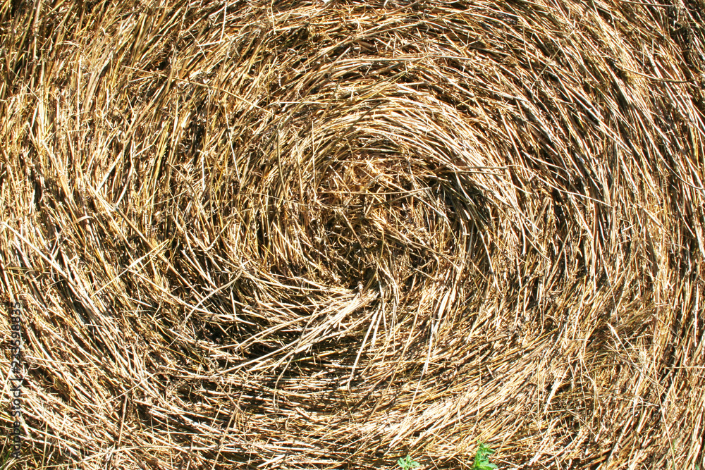 close up of a round hay and straw bale close up of a round hay and straw bale
