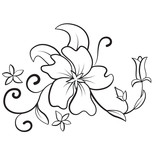 Black and white abstract flower, contours. Petals, leaves and vignettes. Floral design element, decoration.