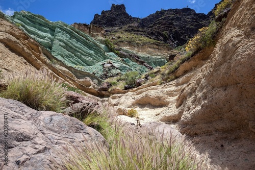 Turquoise colored rock layer Los Azulejos De Veneguera, volcanic rock steeped in sodium iron silicate, at Mogan, Lamprey grass (Pennisetum alopecuroides), Gran Canaria, Canary Islands, Spain, Europe photo