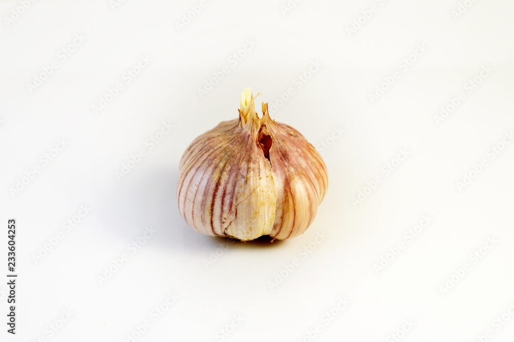 Obraz premium czosnek