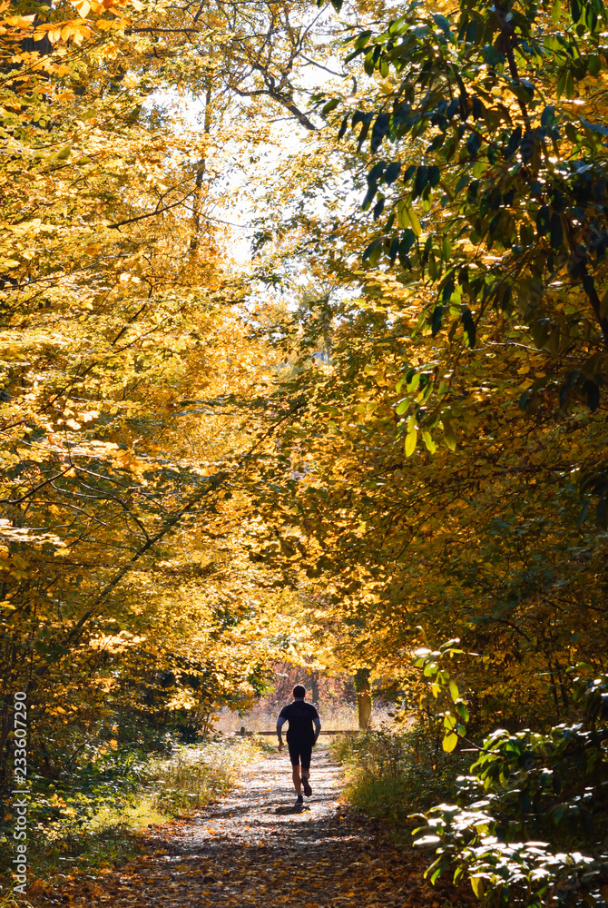 homme de dos courant en sous bois en automne