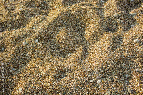 sea shore sand and small stones background texture surface, copy space