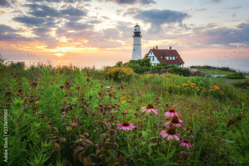 Flowers at Fort Williams Park with Portland Head Light in the background 