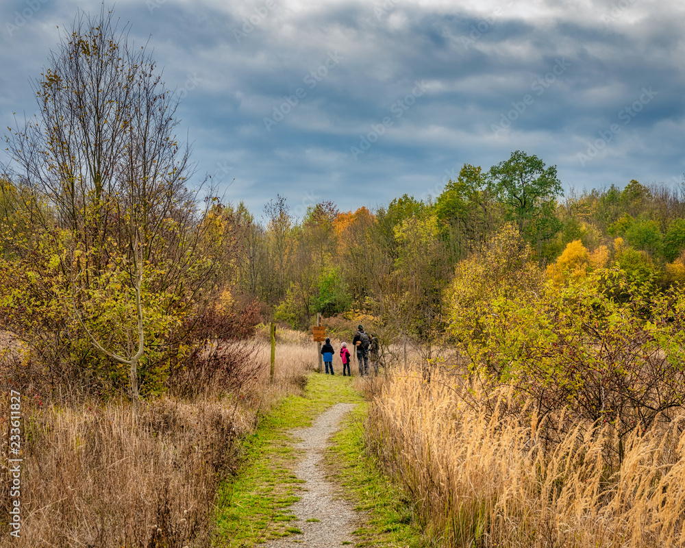 Familienwanderung im Hainich Nationalpark Familienwanderung im Hainich Nationalpark