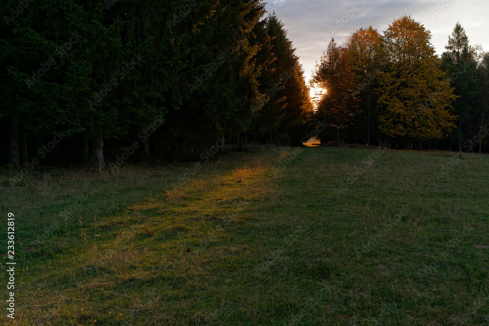 Obraz premium autumn 3058