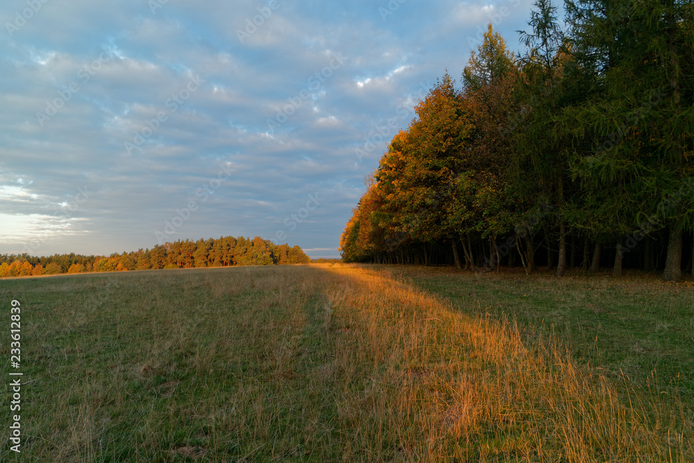 Fototapeta premium autumn 3057