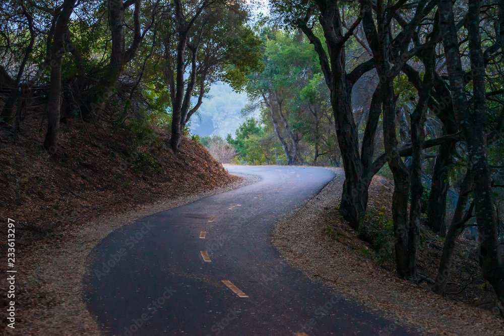 Obraz premium Jogger walking on a winding road