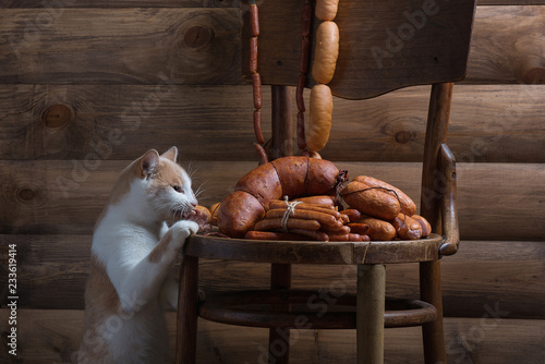 cat steals sausage