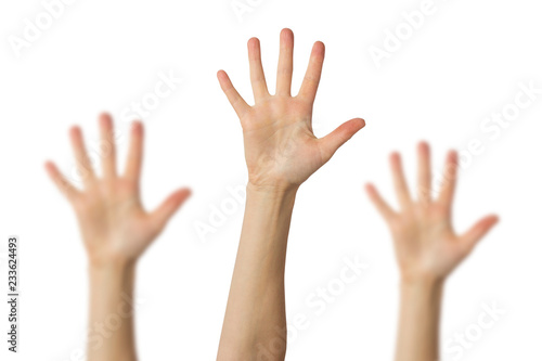 Woman's palm raised up on a white background. Greeting gesture. The concept of greeting someone, friendliness