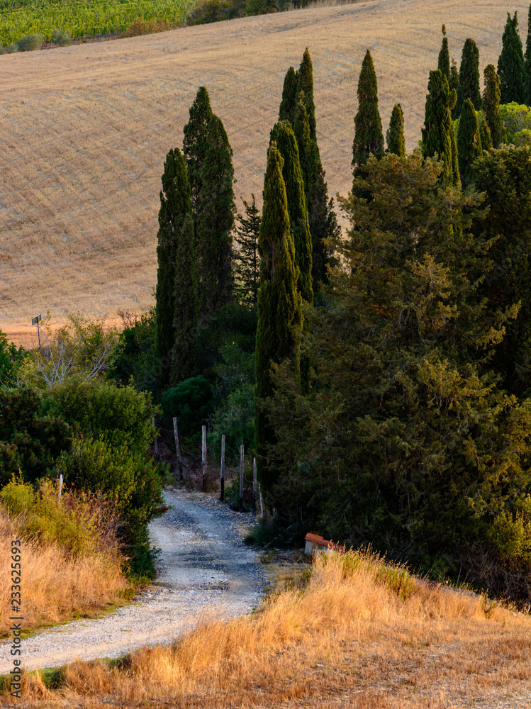 Unbefestigter Weg in der Kurve in der Toskana mit Zypressen und Feldern