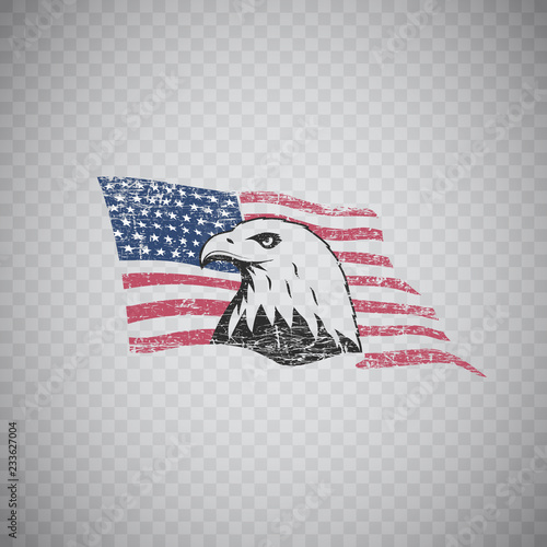 Bald eagle symbol of North America on grunge background with USA flag.