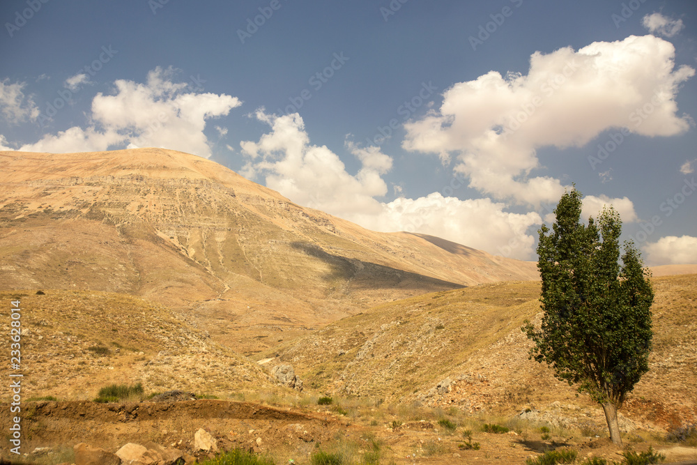 Lebanese landscape, Bekaa Valley, Beqaa Valley, Lebanon.