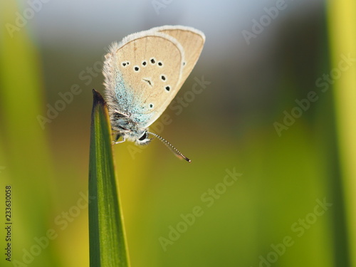 Wallpaper Mural OLYMPUS DIGITAL CAMERA Torontodigital.ca