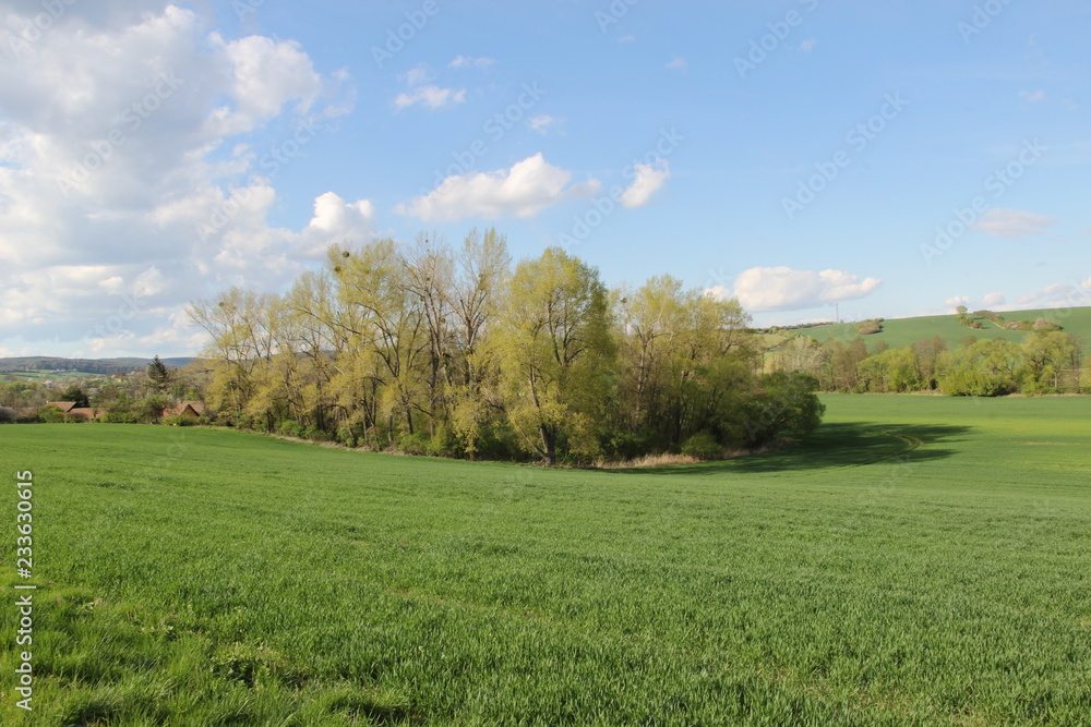 Spring landscape (photo Czech Republic, Europe)