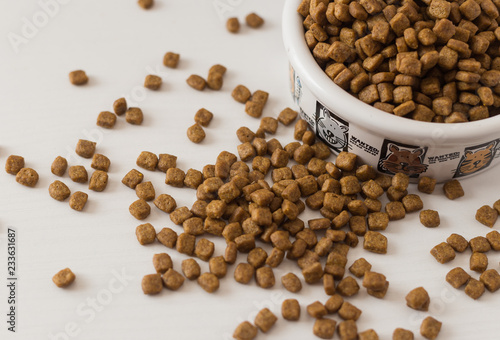 Dry cat food in white bowl on white background