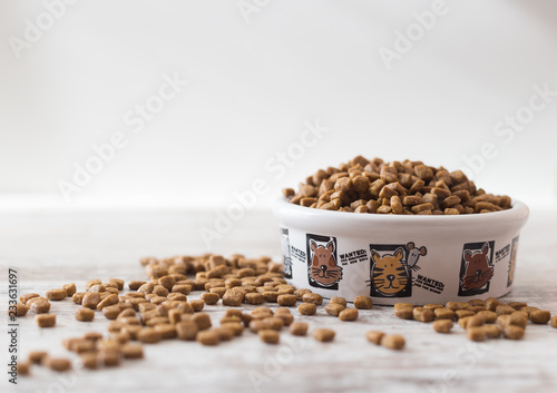 Dry cat food in white bowl on white background photo