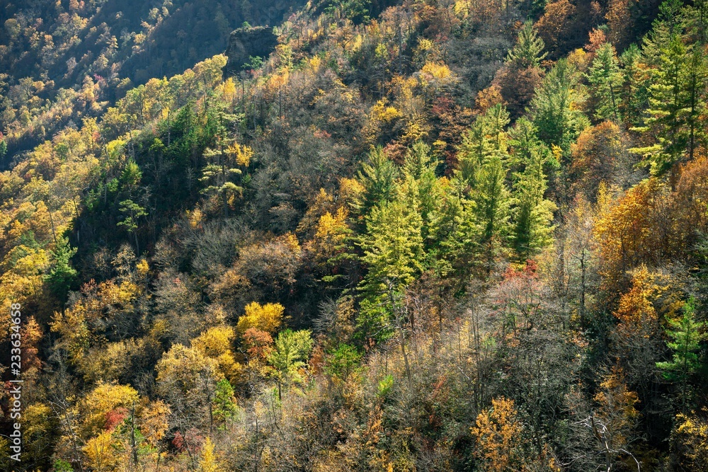 Fall in Linville Gorge