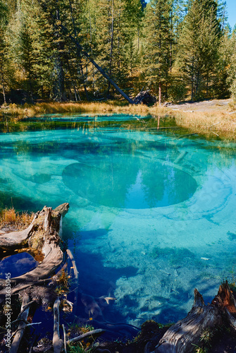 Fototapeta Naklejka Na Ścianę i Meble -  Blue geyser lake surrounded by forests in the Altai Mountain, Russia