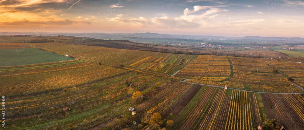 Up in the air above the vineyard with autumn mood with town