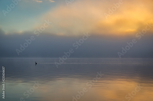 sunset over the foggy swan lake
