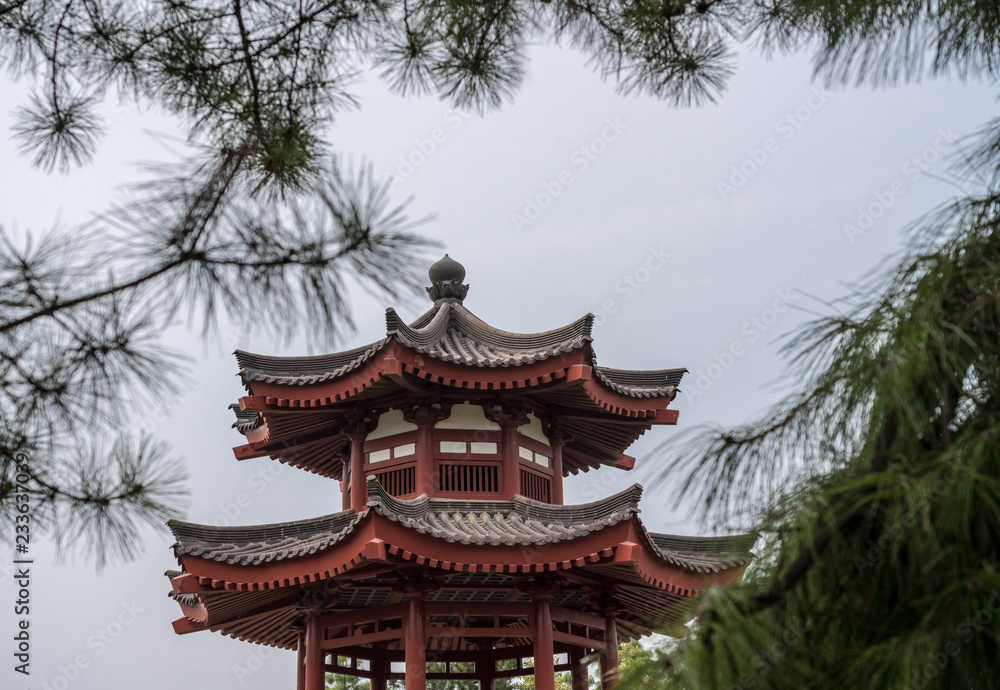 Traditional chinese roofs at the Giant Wild Goose Pagoda