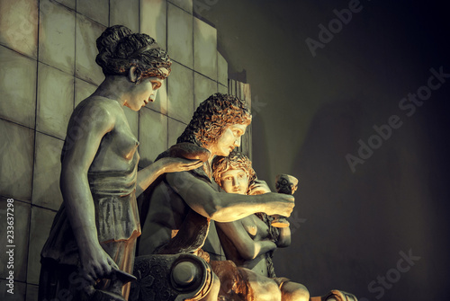 Wall Mural Dionysus Bacchus Wine statue portrait