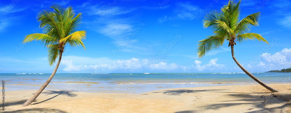 Palm trees and tropical beach on Caribbean sea as background.