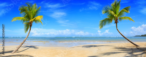 Palm trees and tropical beach on Caribbean sea as background.