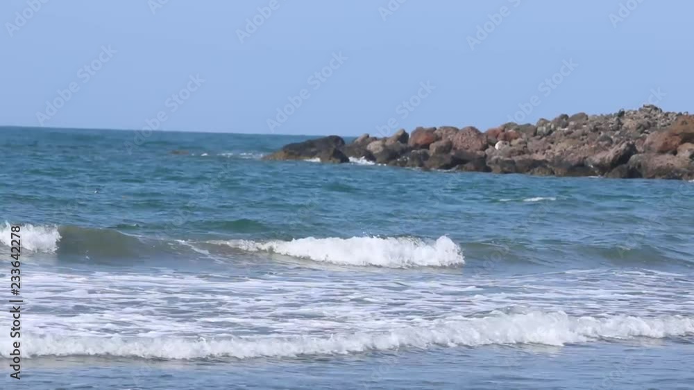 Cost of Veracruz, one of the wildest parts, Mexico Cost of Veracruz, one of the wildest parts, Mexico