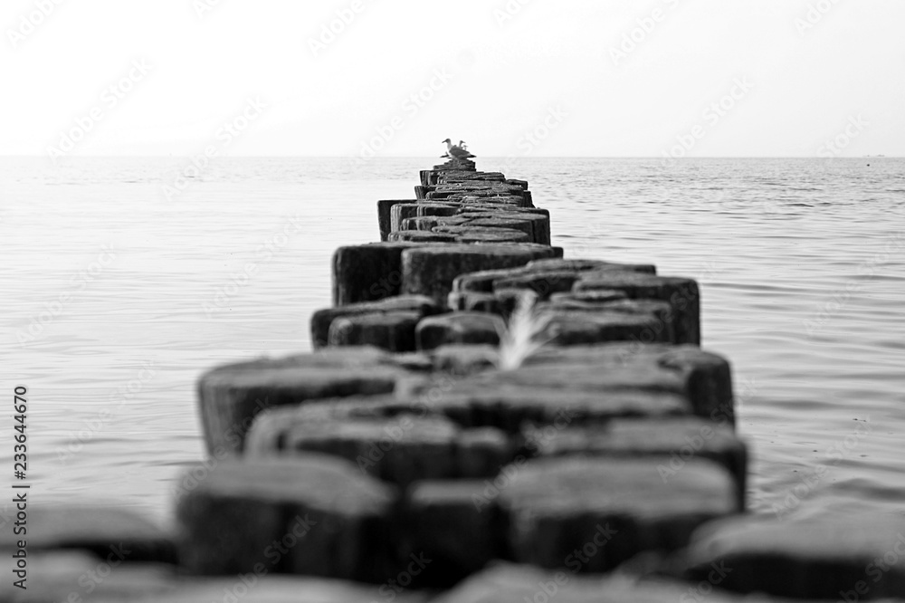Fototapeta premium beach wooden fence