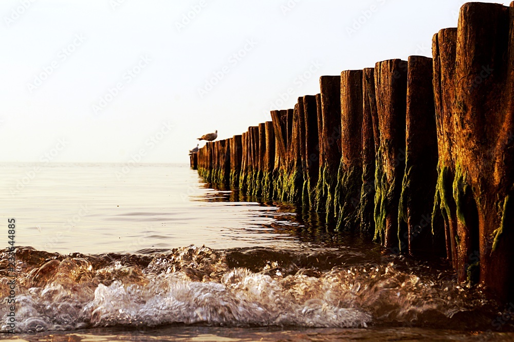 beach wooden fence 