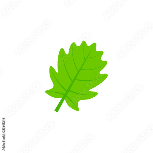 pinnatifid oak leaf flat icon