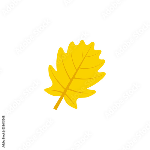 pinnatifid oak leaf flat icon