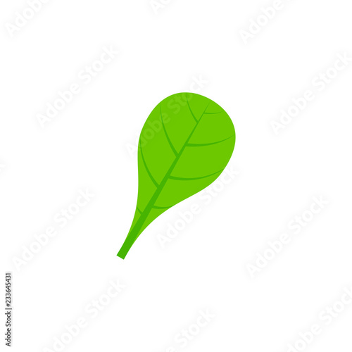 spathulate leaf flat icon