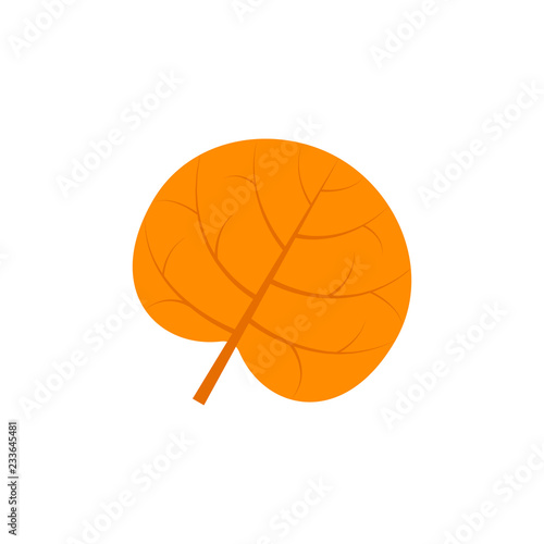 reniform leaf flat icon