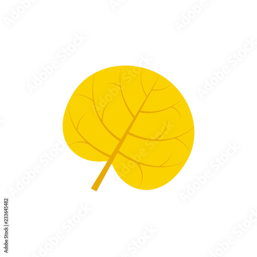 reniform leaf flat icon