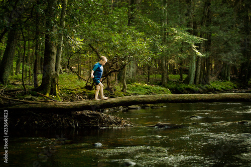 Foto Side view of boy walking fallen tree trunk over river in forest