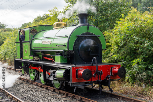 Green steam engine