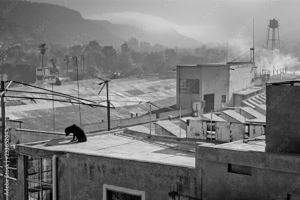 Fototapeta premium Soledad