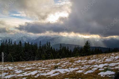 The nature of Carpathians