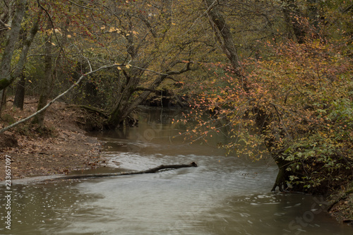 Autumn stream in the park