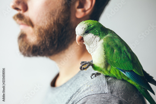 Close-up of beard man with monk paraquat on his shoulder.  Green parrot sits on his owner and eats bread. Domesticated friendly bird. Selective focus 