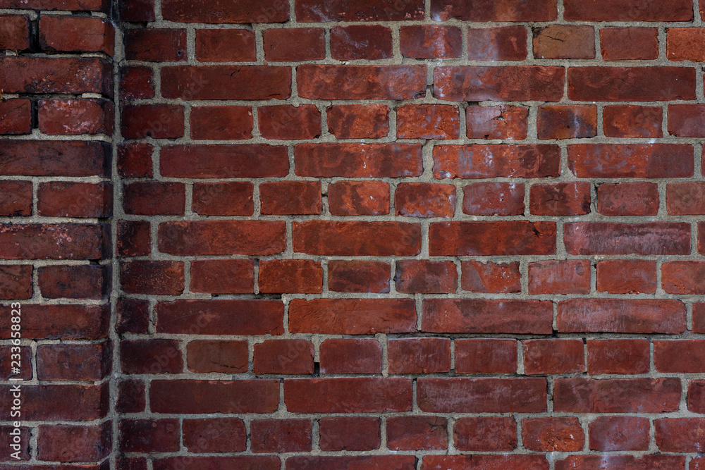 Fototapeta premium レンガ壁