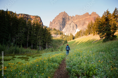 Canvas Print Hiker walking on pathway amidst trees towards mountains