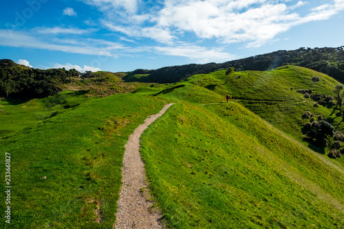 Beautiful green meadow mountain with blue sky.