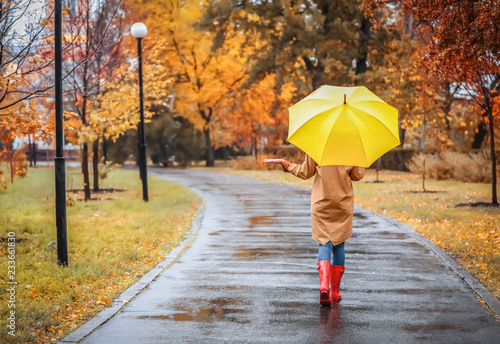 Woman with umbrella taking walk in autumn park on rainy day photo