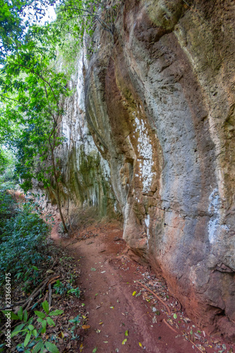 Rock in the jungle of Thailand