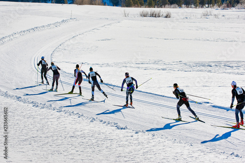 Fotografie Row of skiers on snow covered field during race